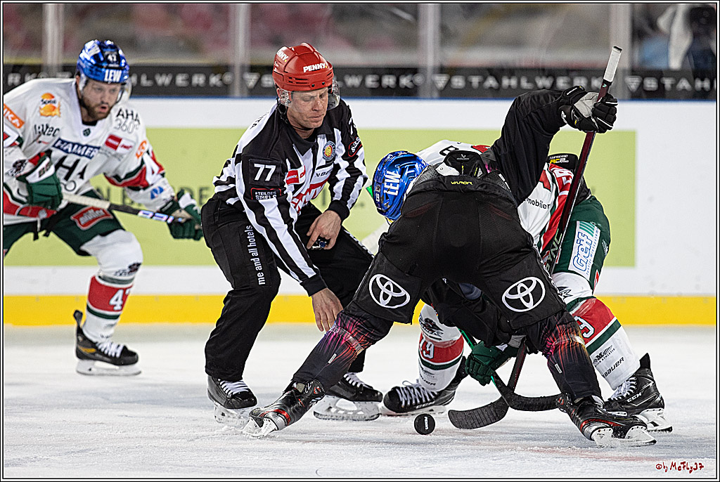 PENNY DEL;  Koelner Haie - Augsburger Panther; Koeln, 08.01.2023